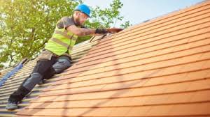 Best Roof Maintenance and Cleaning  in Earlington, KY